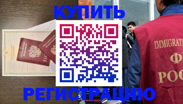 прописка для школы в Чудово